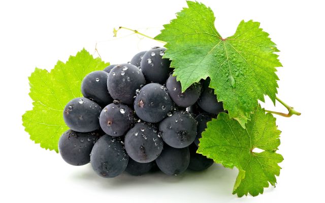 Grapes